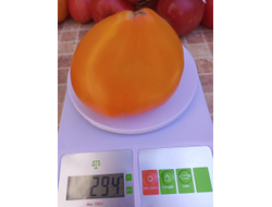 Томат Желтый клюв