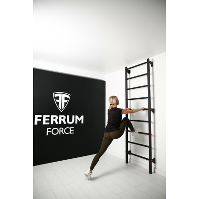 Шведская стенка Ferrum Force F купить в Воронеже
