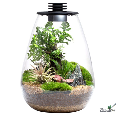 Биобутылка Biolark LED SD175 (175мм х 230мм)