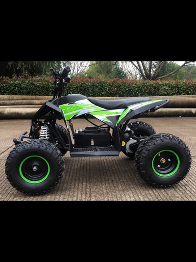 Детский квадроцикл Motax GEKKON 1300W