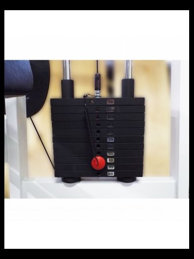 Бицепс-трицепс машина 2 в 1 60 кг AV248/80