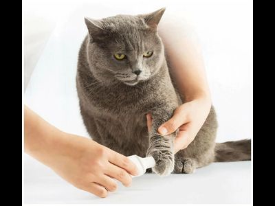 Триммер для когтей домашних животных Xiaomi Pawbby Pet Electric Nail Sharpener MG-NG001A