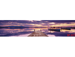 SP-227 Глянцевая стеновая панель ALBICO  2800*610*6мм.