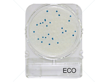 Подложки Compact Dry ECO (E.coli)