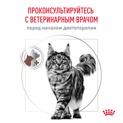 Royal Canin (Роял Канин) Urinary S/O Сухой корм для кошек при мочекаменной болезни, 350 г