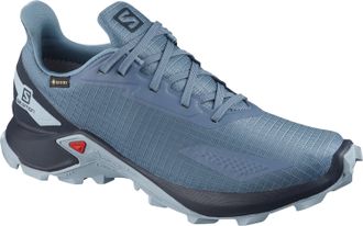 Кроссовки SALOMON ALPHACROSS BLAST GTX W Copen B  411064