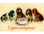 752. С жднем рождения!
