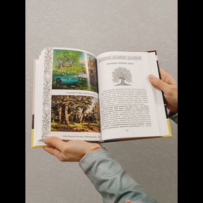 Дубыня и Василиса. Быль-Сказка "О Дубах, Желудях, Напитках и Кофе".