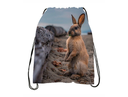 Сумка-мешок для обуви год Кролика №6