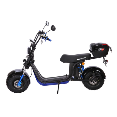 Электроскутер SKYBOARD BR20-2WD OFF-ROAD