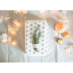 D0429 Веточка ели