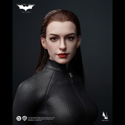 ПРЕДЗАКАЗ - Женщина-Кошка, Селина Кайл ("Темный Рыцарь: возрождение легенды", Batman The Dark Knight Rises) - Коллекционная фигурка 1/6 Batman The Dark Knight Rises Catwoman (AgA029) - INART ?ЦЕНА: 52900 РУБ.?
