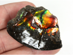 Аммолит, коллекционный образец, Канада (45*33*13 мм, 18 г) №36286