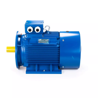 Электродвигатель АИС 200L4 (30 кВт) IM B35