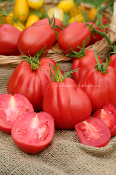 Томат Тюрбан Магриба, 10 шт