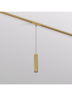 Светильник для трека SHINE SPOT DK5744-SB