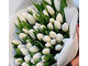 Tulips White