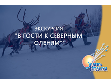 Экскурсия &quot;В гости к северным оленям&quot;