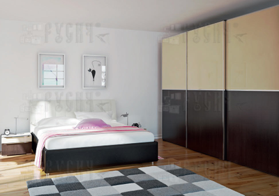 Шкаф-купе Милана 043