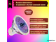 BLV WhiteStar EXN 5300K 35w 12v 36° GU5.3