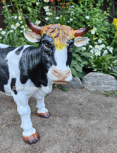 Корова 51*54см   6,5кг    полистоун Россия 5849/016709*