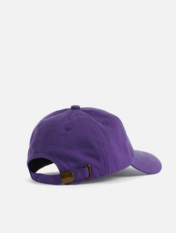 Кепка Anteater 6Panel Фиолетовая фото 8