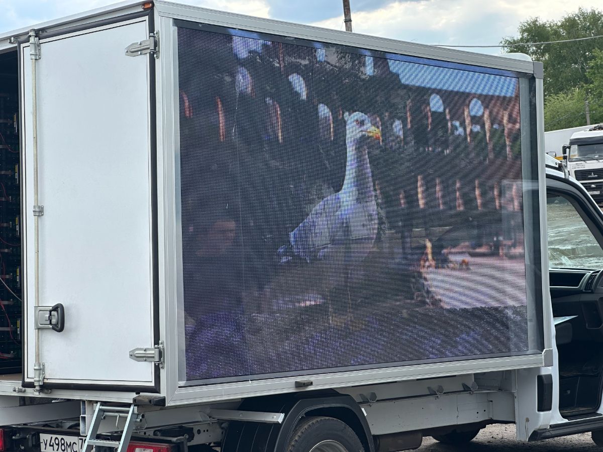 Диджитал мобиль с двухсторонним видеоэкраном. Питание от АКБ.