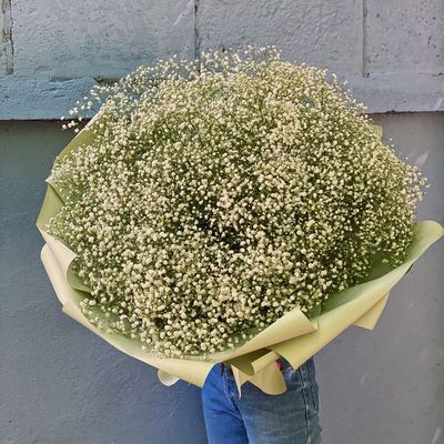 Букет-гигант из гипсофилы