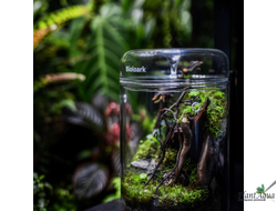 Набор для биодизайна  Biolark LH-03