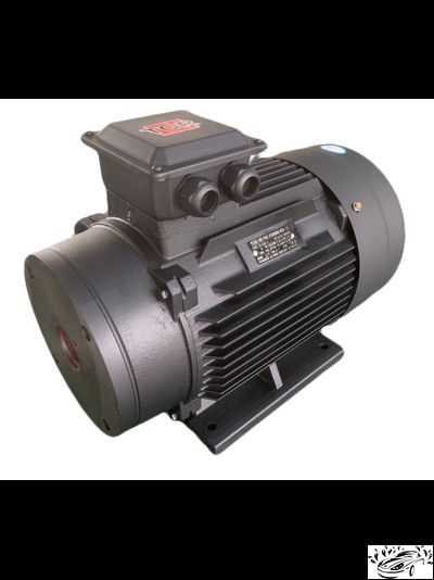 Электродвигатель TOR H160 14950, полый вал 15 кВт