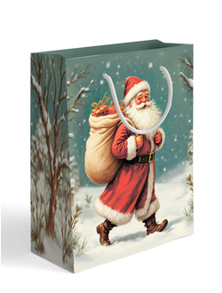 Пакет подарочный "Дед Мороз", размер 30х21х14