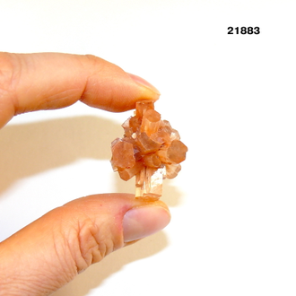 Арагонит натуральный (кристалл) арт.21883: 11,0г - 26*24*20мм