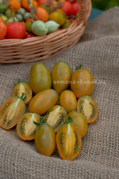 Томат Dwarf Laura’s Bounty (Лаура Баунти), 10 шт