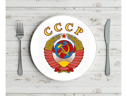 Тарелка СССР №11