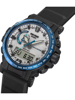 Часы Casio Pro Trek PRW-61D-2
