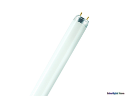 Aura Ultimate Long Life 36w/840 T8 G13