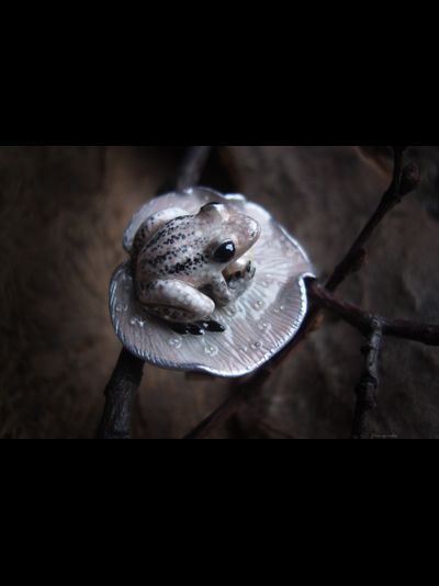 &quot;Бархатная весна&quot;, необычное арт-нуво кольцо с лягушкой и жемчужиной