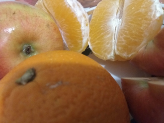 Натуральный сок из спелых апельсинов и яблок | ферма СытникЪ