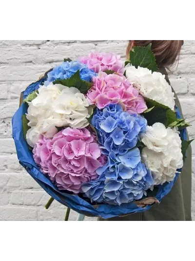 9 розовых гортензий