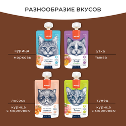 Wanpy Cat (Ванпи кэт) Лакомство для кошек Мясной мусс из лосося и курицы с морковью, 90 г