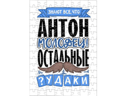 Пазл #4 Антон