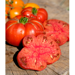 Томат Ярсон 22 (Jarson 22), 10 шт