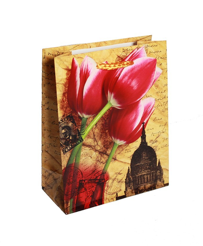 Пакетик подарочный Цветы 14х20х7см (микс)