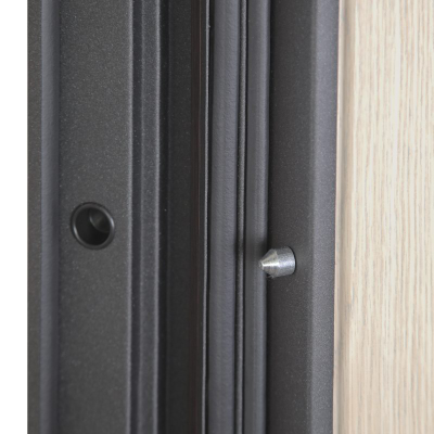 Стальная дверь   Викинг