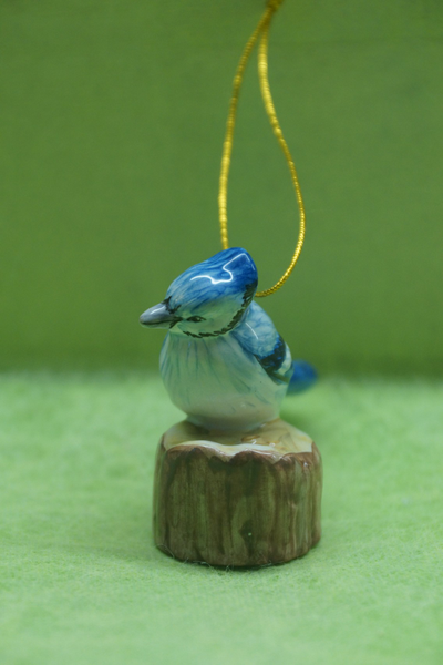 Сойка - Птицы России