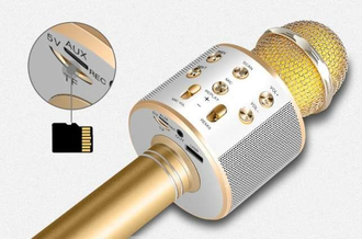Караоке Микрофон Wster WS-858 Оптом (USB, microSD, AUX, Bluetooth)