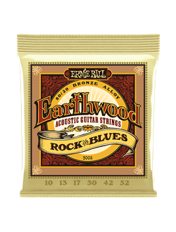 Ernie Ball 2008