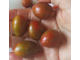 Томат черри Шоколадные брызги (Chocolate Sprinkles)