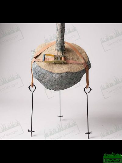 Анкер комплект для скрытого крепления дерева за ком 80 — 110 Terra Line 500 ССК