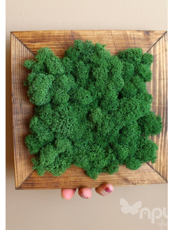 Живая Эко-Картина 1069